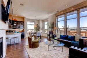 danve developer green energy home interior livingroom