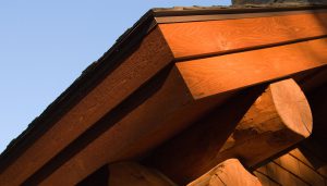 closeup on amber log residence